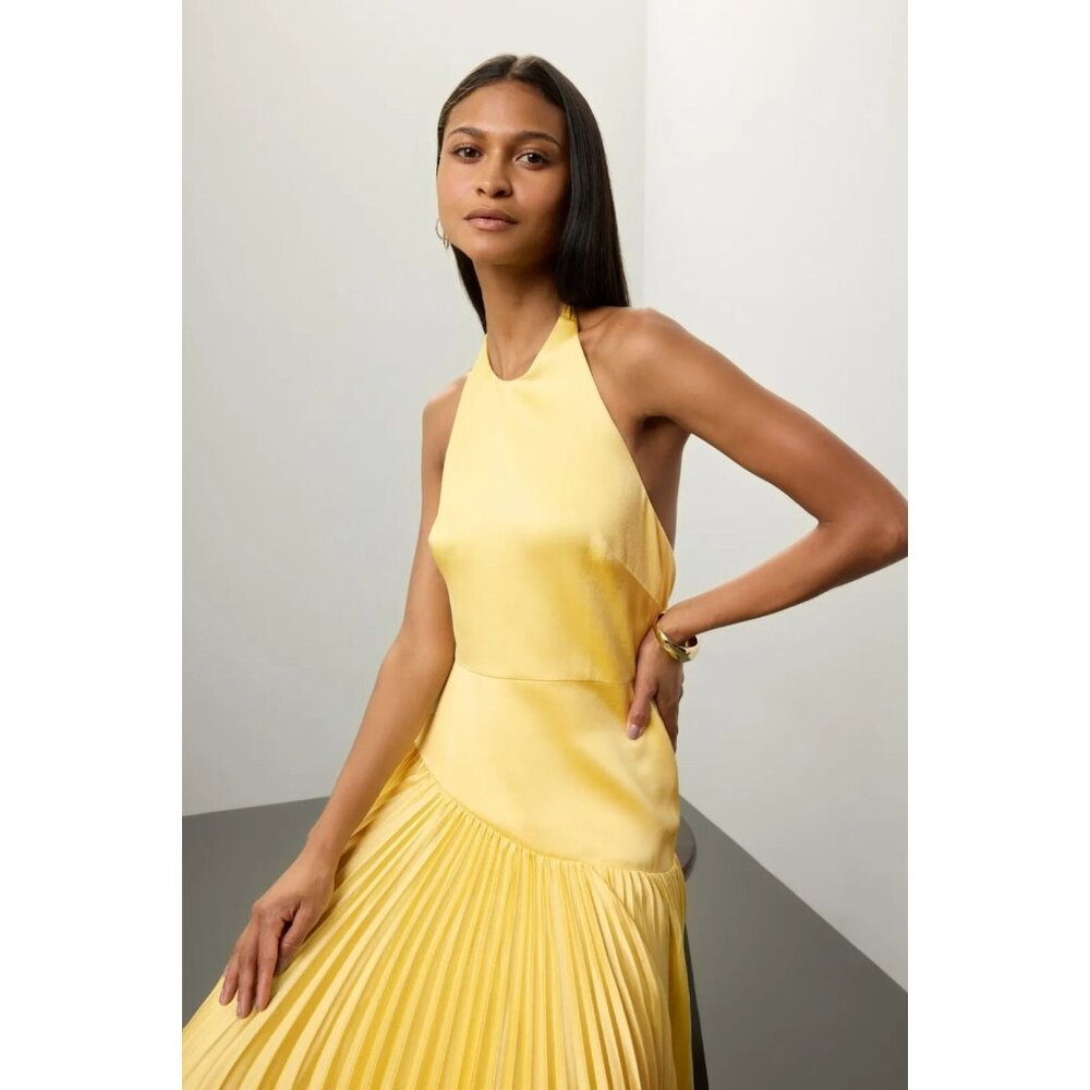 Alexis Yellow Pleated Maxi Halter Dress - Picture 2 of 16